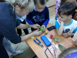 16 Чудо огородное