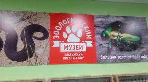 Экскурсия в зоологический музей КФУ