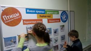 Экскурсия в зоологический музей КФУ
