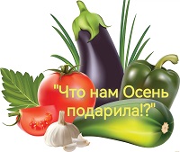 Занятие по социально-коммуникативному развитию на тему  «Что нам Осень подарила!?»
