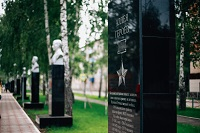 Год воинской  и трудовой доблести