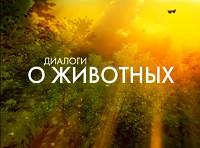 Викторина «Диалоги о животных»